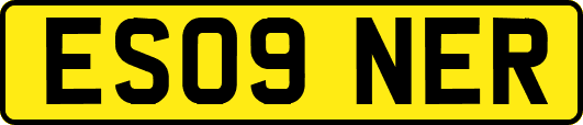 ES09NER