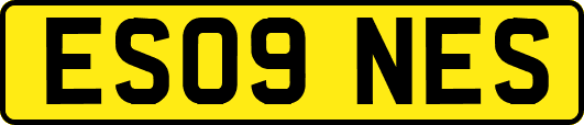ES09NES