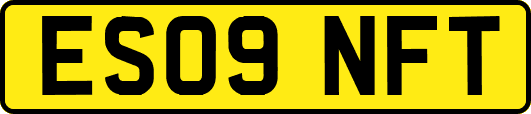 ES09NFT
