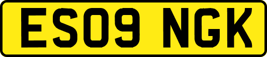 ES09NGK