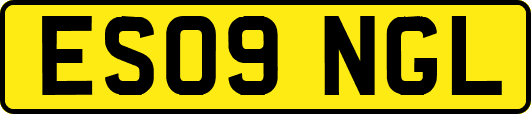 ES09NGL