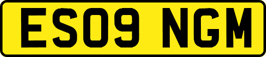 ES09NGM