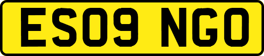 ES09NGO