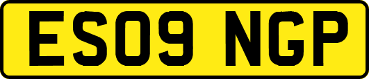 ES09NGP