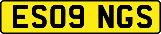 ES09NGS