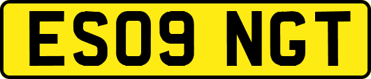 ES09NGT