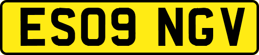 ES09NGV