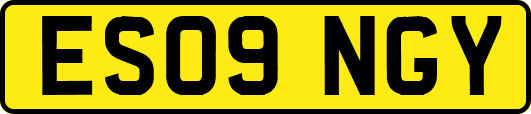 ES09NGY