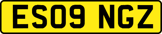 ES09NGZ