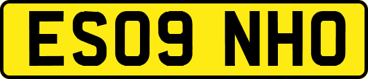 ES09NHO