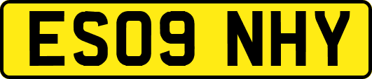 ES09NHY