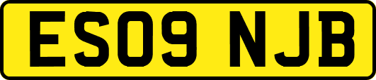 ES09NJB