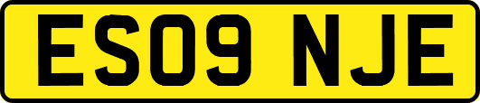 ES09NJE