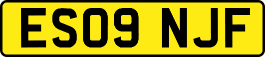 ES09NJF