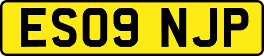 ES09NJP