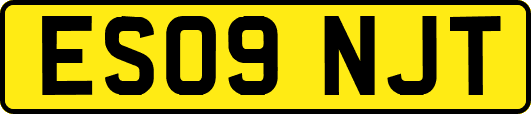ES09NJT