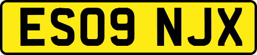 ES09NJX