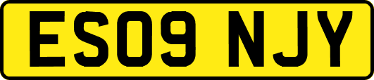 ES09NJY