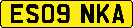 ES09NKA