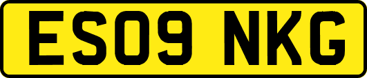 ES09NKG