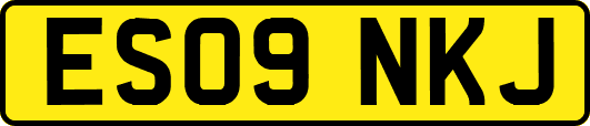 ES09NKJ
