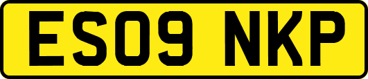 ES09NKP