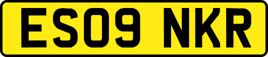 ES09NKR