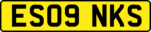ES09NKS