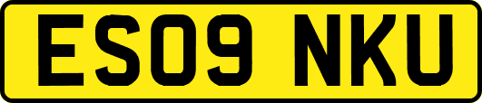 ES09NKU