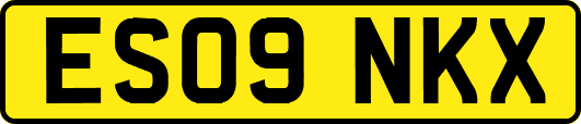 ES09NKX