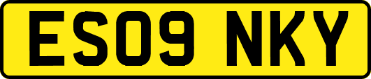 ES09NKY