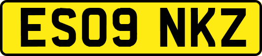 ES09NKZ