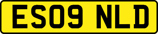 ES09NLD