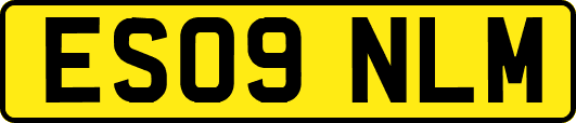 ES09NLM