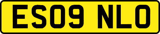 ES09NLO