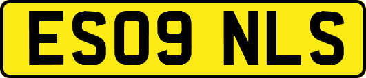 ES09NLS