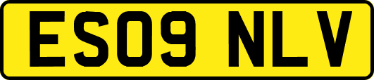 ES09NLV