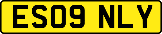 ES09NLY