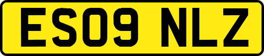 ES09NLZ