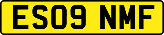 ES09NMF