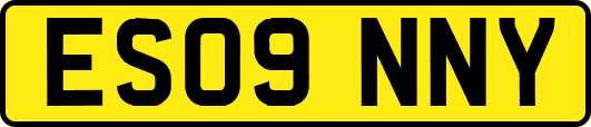 ES09NNY