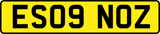 ES09NOZ