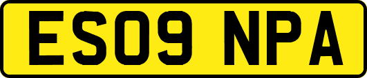 ES09NPA