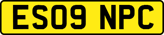 ES09NPC