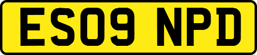 ES09NPD