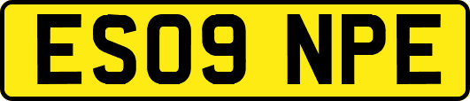 ES09NPE