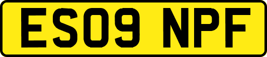 ES09NPF