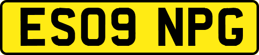 ES09NPG
