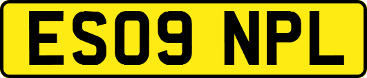ES09NPL