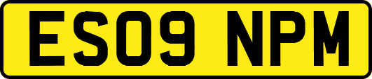 ES09NPM